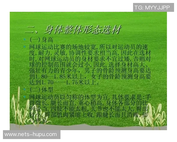 上海网球队耐力训练的挑战与突破探讨